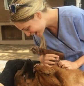 Laurie Steinier Photo