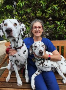 Sarah and Her Dalmatians Wally and Spotty